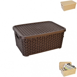 Úložný box s víkem Ratan Hobby - hnědý